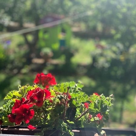 Apartman Dalija Vinkuran Luaran gambar