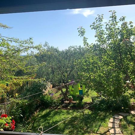 Apartman Dalija Vinkuran Luaran gambar