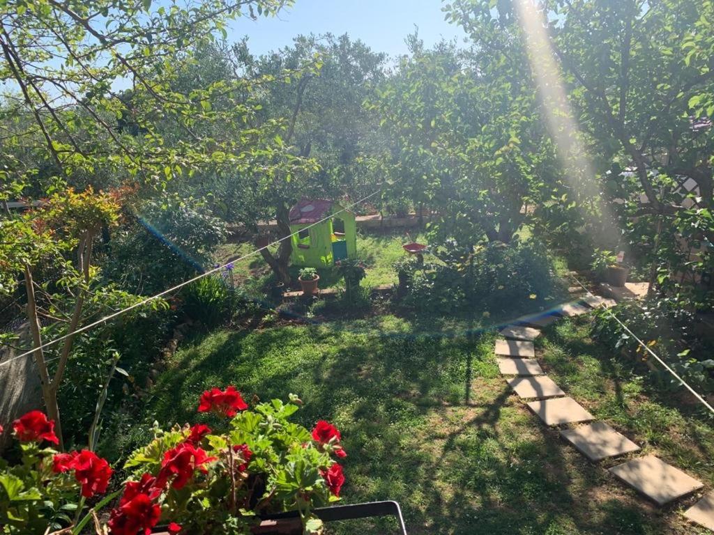 Apartman Dalija Vinkuran Luaran gambar